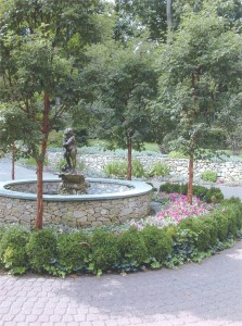 landscaping, maple trees