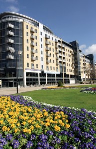 Commercial Landscape flowers