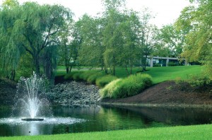 Commercial Landscaping - Water Feature